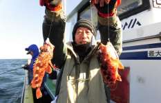 東京湾の手軽な高級魚・カサゴが絶好調！