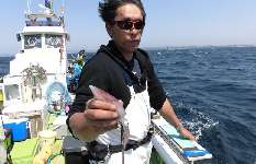 相模湾・葉山沖、人気のマルイカ、“Xデー”は？