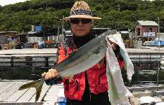 兵庫県・家島諸島の海上釣り堀！ハズレ無し！
