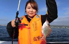 茨城県・日立沖、一つテンヤマダイ、竿頭25匹の爆釣！！