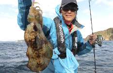 千葉県・富浦沖のアオリイカ、ティップランで攻略！