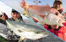 千葉県・内房、勝山港発のワラサ＆マダイ、今がチャンス！！