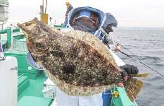 茨城県・鹿島沖のヒラメ絶好調！「大判」期待出来るシーズン！