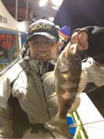 大阪湾半夜のメバル釣り好釣果！竿頭は50～60匹
