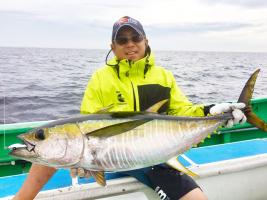 待ってました！ 相模湾にキハダマグロ！