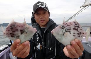 初秋の東京湾・餌取り名人“カワハギ”攻略法！