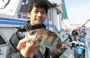 東京湾のメバル＆カサゴ。数釣り爆釣モード継続中！