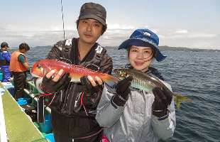 神奈川県・相模湾、釣れる魚の全てが“本命”！ライト五目船！