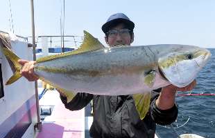 千葉県・御宿沖のカモシ釣り絶好調！！ ヒラマサ、マダイが乱舞！