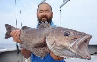 新潟県・佐渡沖で幻の魚“大アラ”7.2kgが浮上！