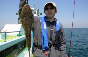 東京湾の超高級魚、マゴチが釣りたい！