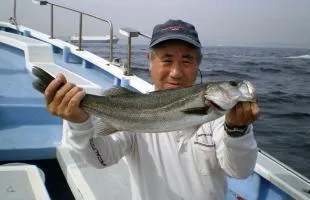 東京湾を代表する釣りの1つ“エビ・スズキ”