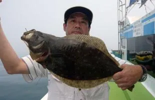 夏の飯岡沖に“大板”浮上！