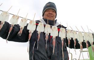 相模湾・秋谷沖のマルイカ、50mダチでノリ活発！