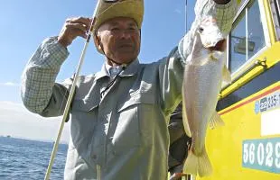 “初めての沖釣り”にピッタリ!東京湾のイシモチ（シログチ）好発進!