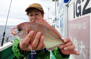 五目＆数で楽しむ♪茨城県・那珂湊沖の“ひとつテンヤ”マダイ！