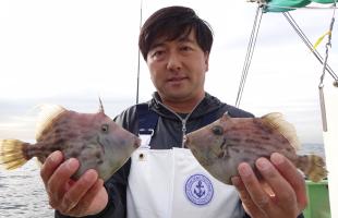 神奈川県・長井沖で楽しさ満載カワハギ釣り！