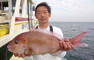 相模湾の秋マダイが好スタート!