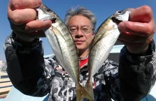 東京湾、厳冬期のＬＴアジ釣りにシログチが乱入！！