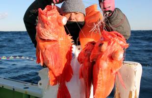 ベストシーズンに突入、千葉県・銚子沖のメヌケ釣り