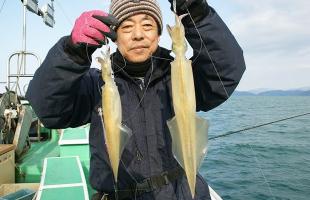 若狭湾に春を告げる 昼間のヤリイカ釣り