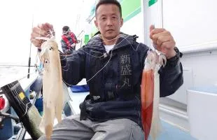春本番！千葉県、洲崎沖のヤリイカ釣りが最盛期！！