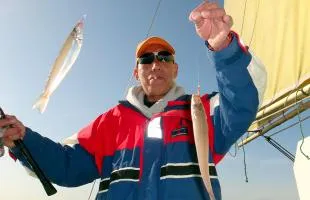 神奈川県・相模湾のシロギス、条件良ければ“束釣り”も！