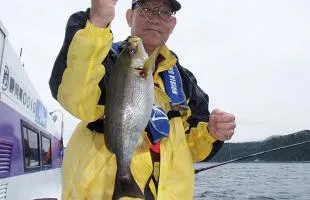 静岡県・伊東沖で旬の“梅雨イサキ”を狙う！