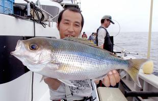 伊豆・新島ウラの“遠征釣行”開幕！高級魚アオダイ連発！