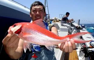 チョ～豪華！駿河湾・金洲の高級魚“五目釣り”！