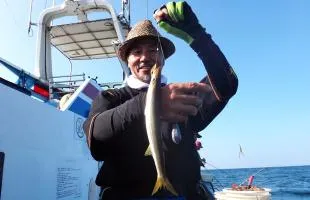 相模湾・佐島沖の“ライト五目”は旬の魚が対象！