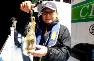 千葉県・勝山沖、“餌木シャクリ”で狙うアオリイカ