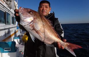 一つテンヤ・マダイ、千葉県・飯岡沖で絶好調！