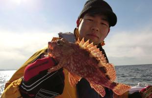 春はカサゴの季節！東京湾・久里浜沖で一時は入れ喰い！