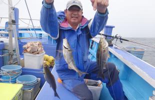 千葉県・大原沖の抱卵“梅雨イサキ”。食味、釣り味満点！！