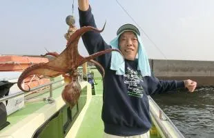 23年振りの好漁に沸く、東京湾マダコ！！