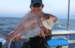 秋は“数釣り”狙い！千葉県・大原沖“一つテンヤ”マダイ