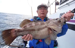 クエも出て“激アツ”スタート！千葉県・大原沖のヒラメ＆マハタ