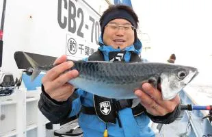千葉県・勝浦沖の“寒サバ”＆ヤリイカ船、超旨いサバが入れ食い！