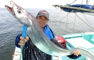 東京湾の“テンヤ・タチウオ” 絶好調!“ドラゴン”級連発!!