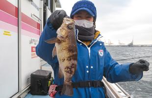 東京湾のメバル開幕！今年は数も型も期待出来る！！