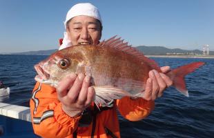 駿河湾・田子の浦沖、1ヶ月遅れの“秋ダイ・ワラサ”乱舞！