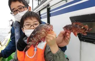 東京湾のカサゴ、良型中心！夏本番に向け釣果上昇！！