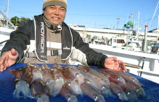 駿河湾・石花海のヤリイカ好調！