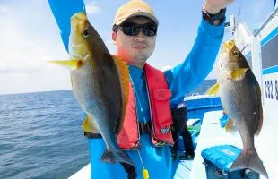 千葉県・勝山沖のアジ＆イサキリレー、連日“好釣”ハズレなし！