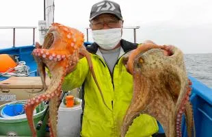 茨城県・日立久慈沖のマダコ、エギ仕掛けで絶好調！！