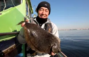 東京湾・行徳沖のマコガレイ、今期最大の49cm上がる!