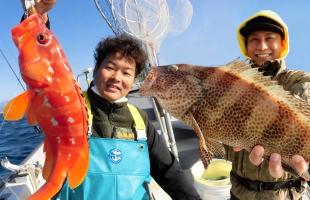 神奈川県・真鶴岩港発、新ターゲット“アカハタ五目”が面白い！！