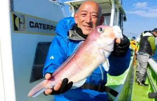 相模湾のアマダイが本格化！50cm級の大型浮上！！