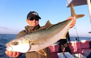 千葉県・大原沖のルアー釣りのヒラマサ、良型高活性！！